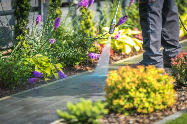 Best Fence Cleaning and Maintenance in Olton, TX
